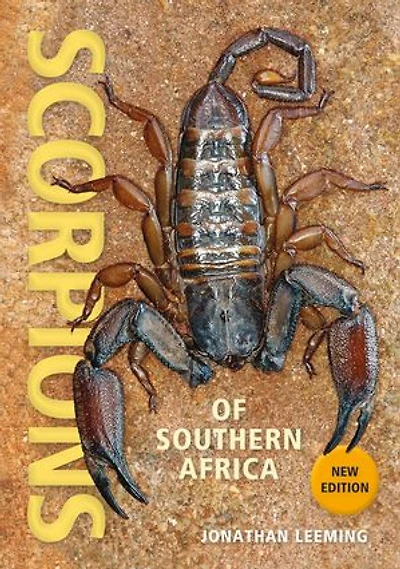 Scorpions of Southern Africa