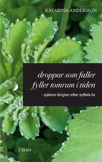Droppar som faller fyller tomrum i tiden: - själens längtan efter syftets liv