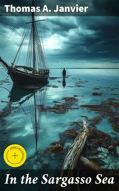 In the Sargasso Sea: Enriched edition. A Novel