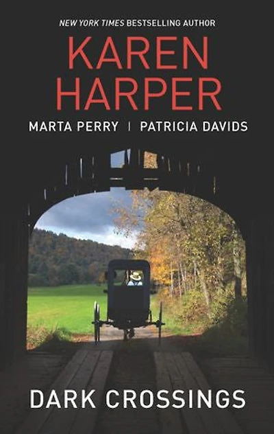 Dark Crossings: An Anthology