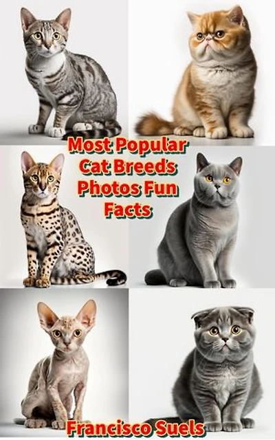 Most Popular Cat Breeds Photos Fun Facts
