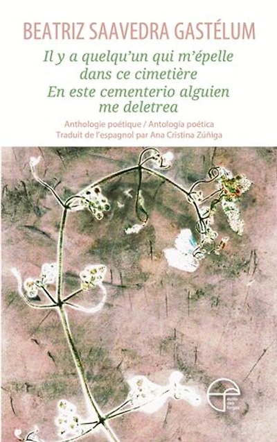 Il y a quelqu'un qui m’épelle dans ce cimetière - En este cementerio alguien me deletrea