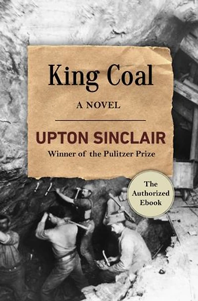 King Coal: A Novel