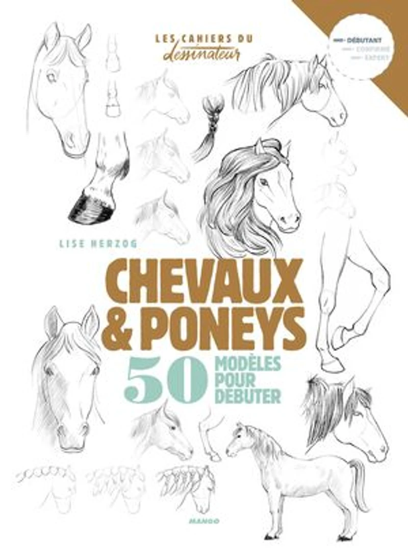 Chevaux & poneys: 50 modèles pour débuter