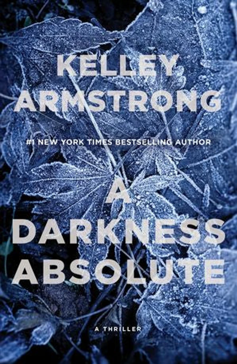 A Darkness Absolute: Rockton Thriller (city Of The Lost 2)
