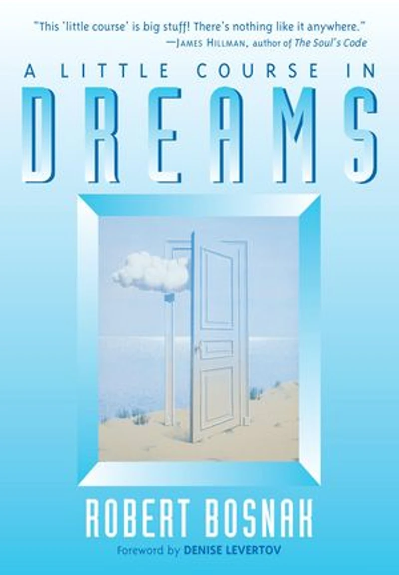 A Little Course Dreams
