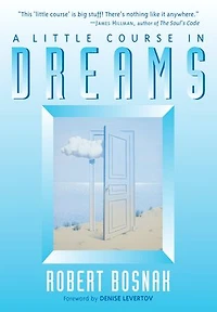 A Little Course Dreams