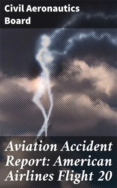 Aviation Accident Report: American Airlines Flight 20: Enriched edition. Understanding the Investigation Process of Airline Disasters