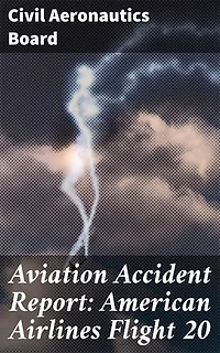 Aviation Accident Report: American Airlines Flight 20: Enriched edition. Understanding the Investigation Process of Airline Disasters