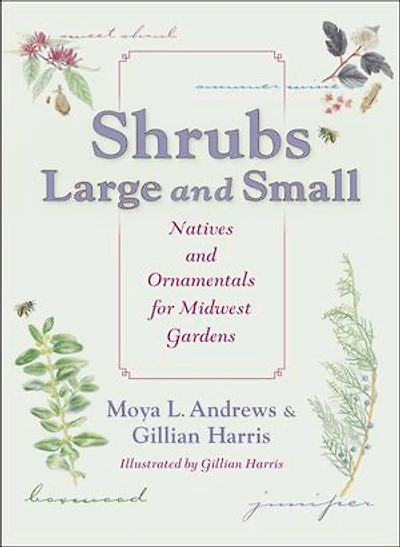 Shrubs Large and Small: Natives Ornamentals for Midwest Gardens