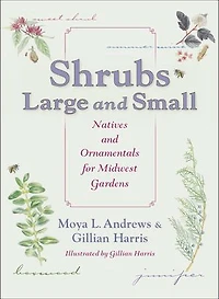 Shrubs Large and Small: Natives Ornamentals for Midwest Gardens