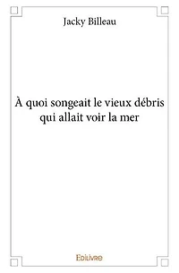 À quoi songeait le vieux débris qui allait voir la mer