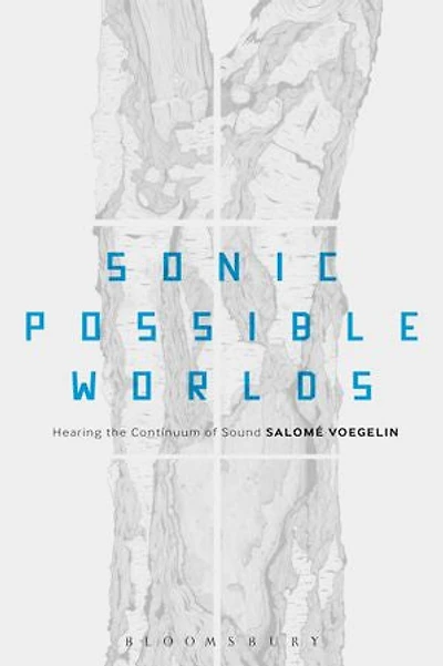 Sonic Possible Worlds, Revised Edition: Hearing The Continuum Of Sound