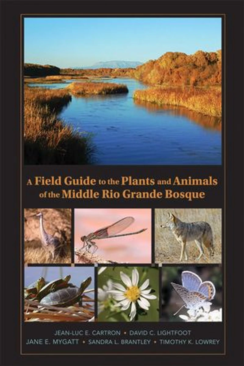 A Field Guide to the Plants and Animals of Middle Rio Grande Bosque