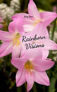 Rainborn Visions
