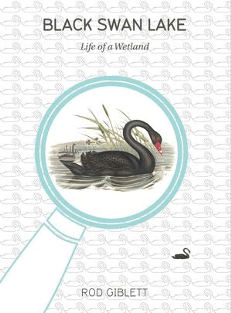 Black Swan Lake: Life Of A Wetland