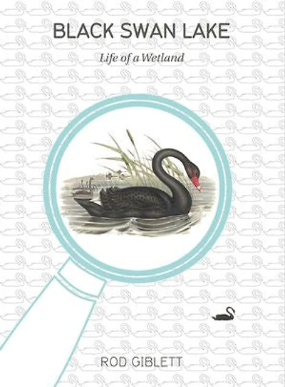 Black Swan Lake: Life Of A Wetland