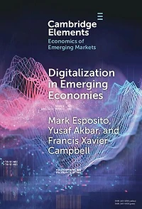 Digitalization in Emerging Economies