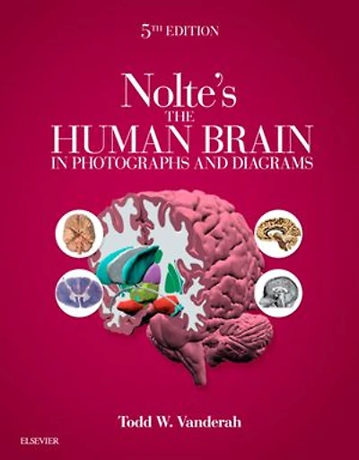 Nolte's The Human Brain Photographs and Diagrams
