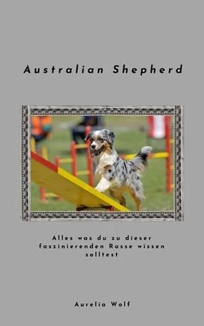 Australian Shepherd: Alles was du zu dieser faszinierenden Rasse wissen musst