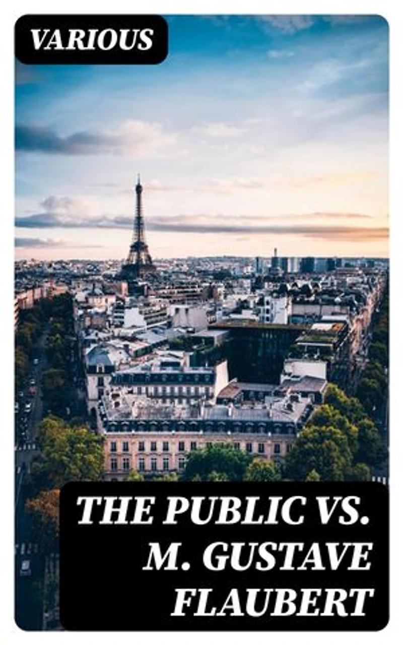 The Public vs. M. Gustave Flaubert