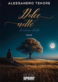 Dolce notte - Istantanee di vita