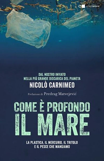 Come è profondo il mare: Dal nostro inviato nella più grande discarica del pianeta. La plastica, il mercurio, il tritolo e il pesce che mangiamo