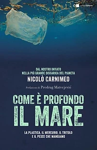 Come è profondo il mare: Dal nostro inviato nella più grande discarica del pianeta. La plastica, il mercurio, il tritolo e il pesce che mangiamo