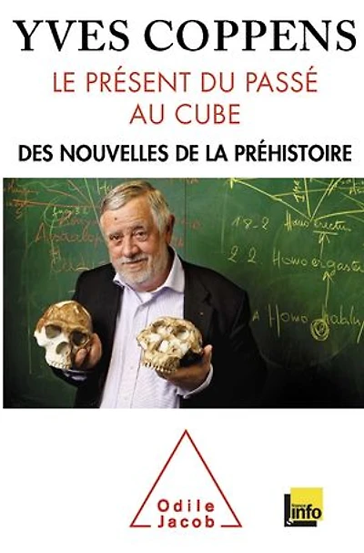 Le présent du passé au cube: des nouvelles de la préhistoire