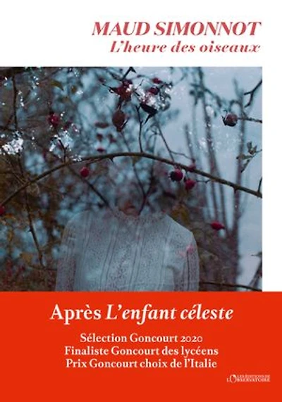 L' heure des oiseaux
