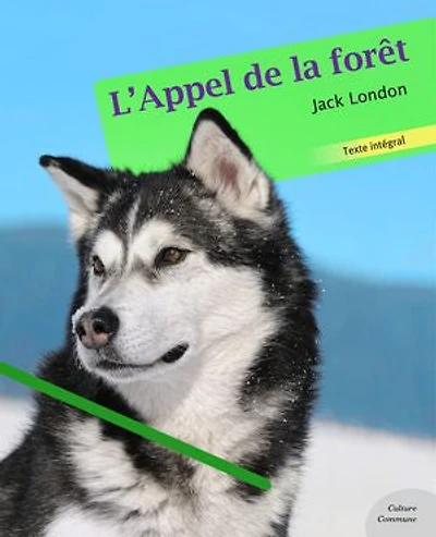 L'Appel de la forêt