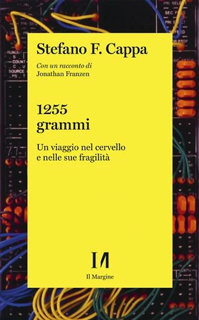 1255 grammi: Un viaggio nel cervello e nelle sue fragilità