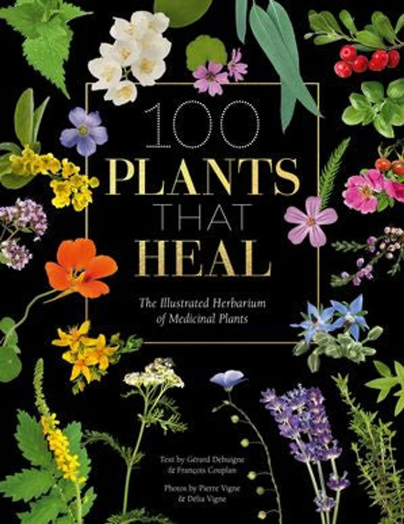 50 Plants that Heal: Discover Medicinal - A Card Deck
