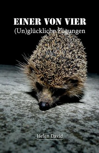 Einer von vier: (Un)glückliche Fügungen