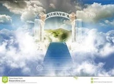 "PARADISE; I WENT, SAE AND COME BACK!"
