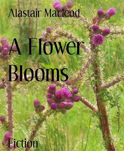 A Flower Blooms