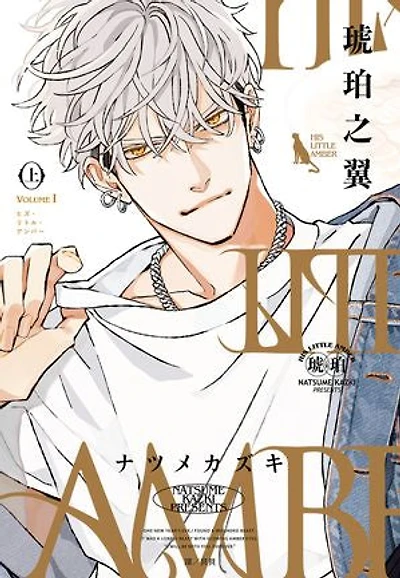 HIS LITTLE AMBER—琥珀之翼—(上)