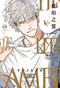 HIS LITTLE AMBER—琥珀之翼—(上)