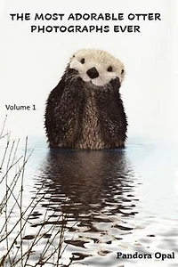 The Most Adorable Otter Photographs Ever!: Volume 1