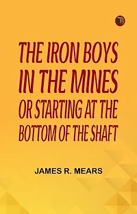 The Iron Boys in the Mines or Starting at the Bottom of the Shaft
