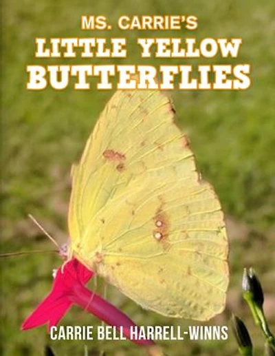 Ms. Carrie's Little Yellow Butterflies