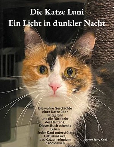 Die Katze Luni - Ein Licht in dunkler Nacht: Eine wahre Geschichte über Mitgefühl und die Rückkehr des Herzens
