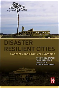 Disaster Resilient Cities: Concepts And Practical Examples