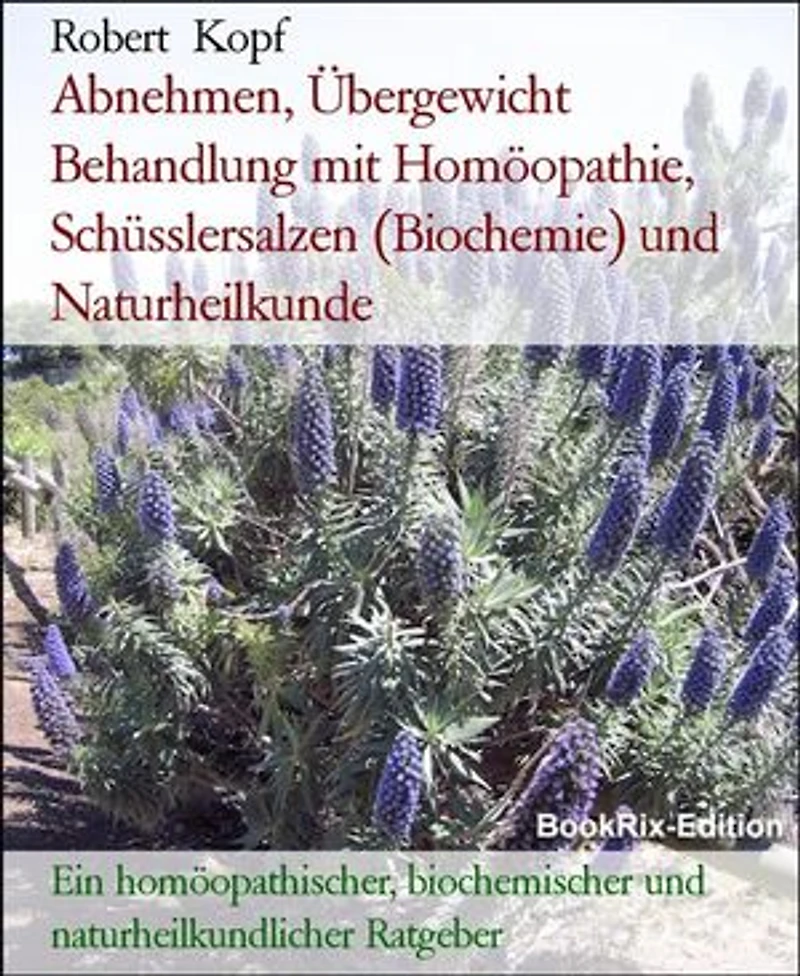 Abnehmen, Übergewicht Behandlung mit Homöopathie, Schüsslersalzen (Biochemie) und Naturheilkunde: Ein homöopathischer, biochemischer und naturheilkundlicher Ratgeber