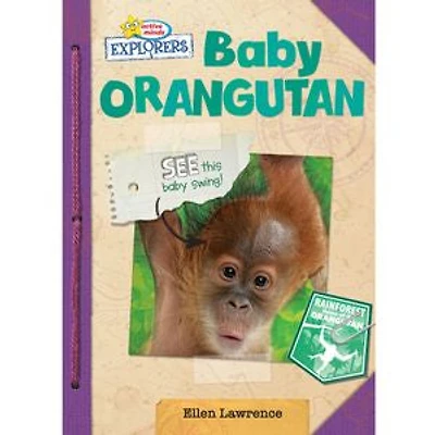 Baby Orangutan