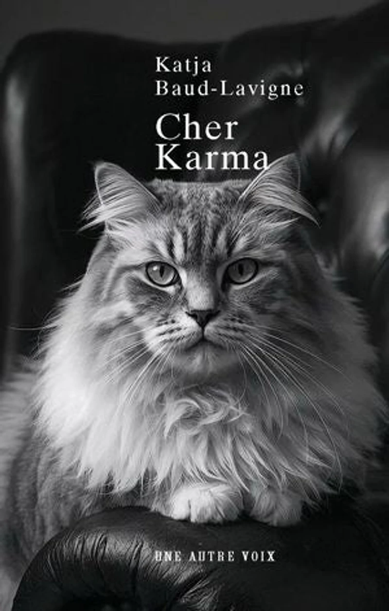 Cher Karma: Et si votre propre mémoire vous trahissait?