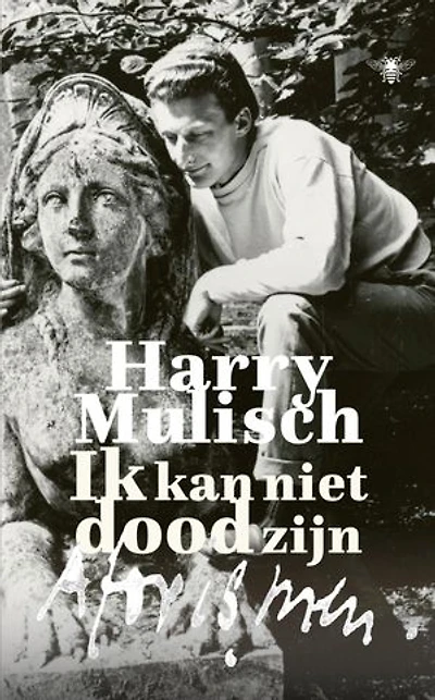Ik kan niet dood zijn: Invallen, observaties en aforismen