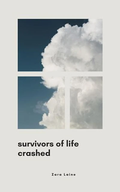 Survivors of Life Crashed: Life Chronicles. A journey of Resilience, #1