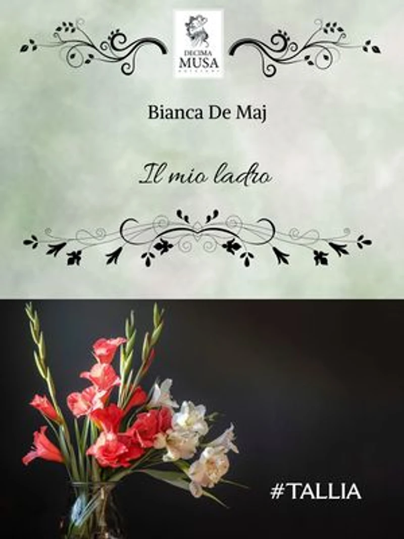 Il mio ladro
