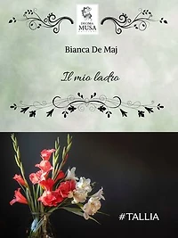 Il mio ladro